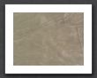 Nazcalines26